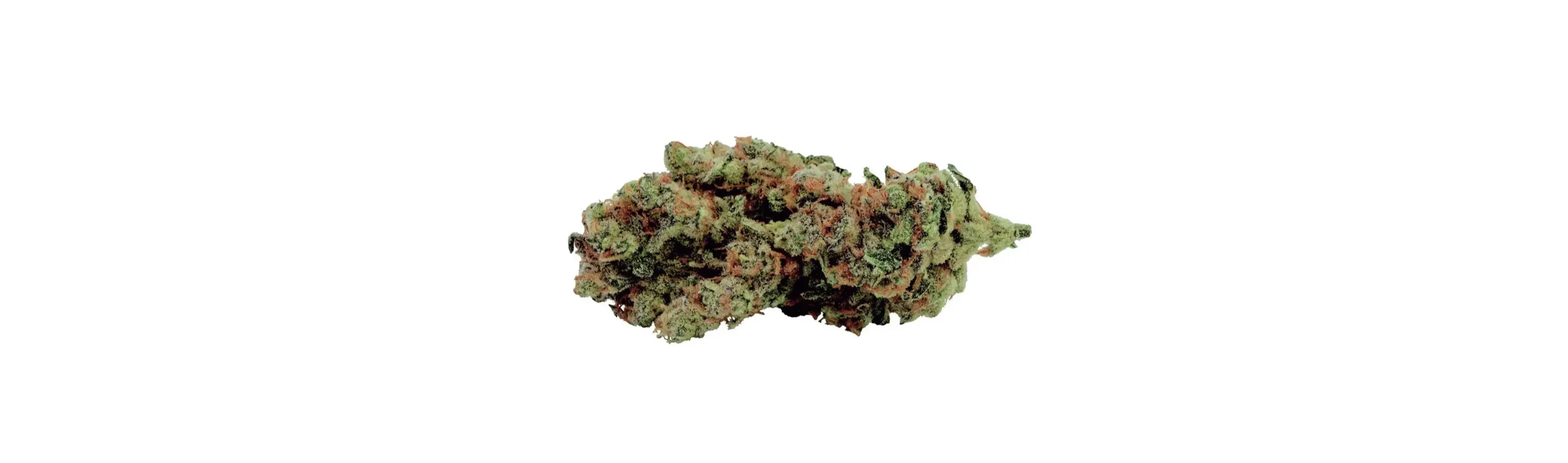 A photo of Burb BC Zaza cannabis strain.