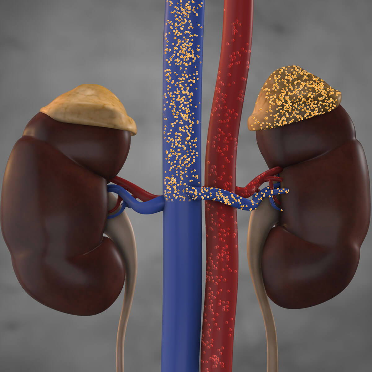 Glucose Uptake vs Resistance