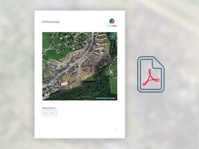 PDF Report