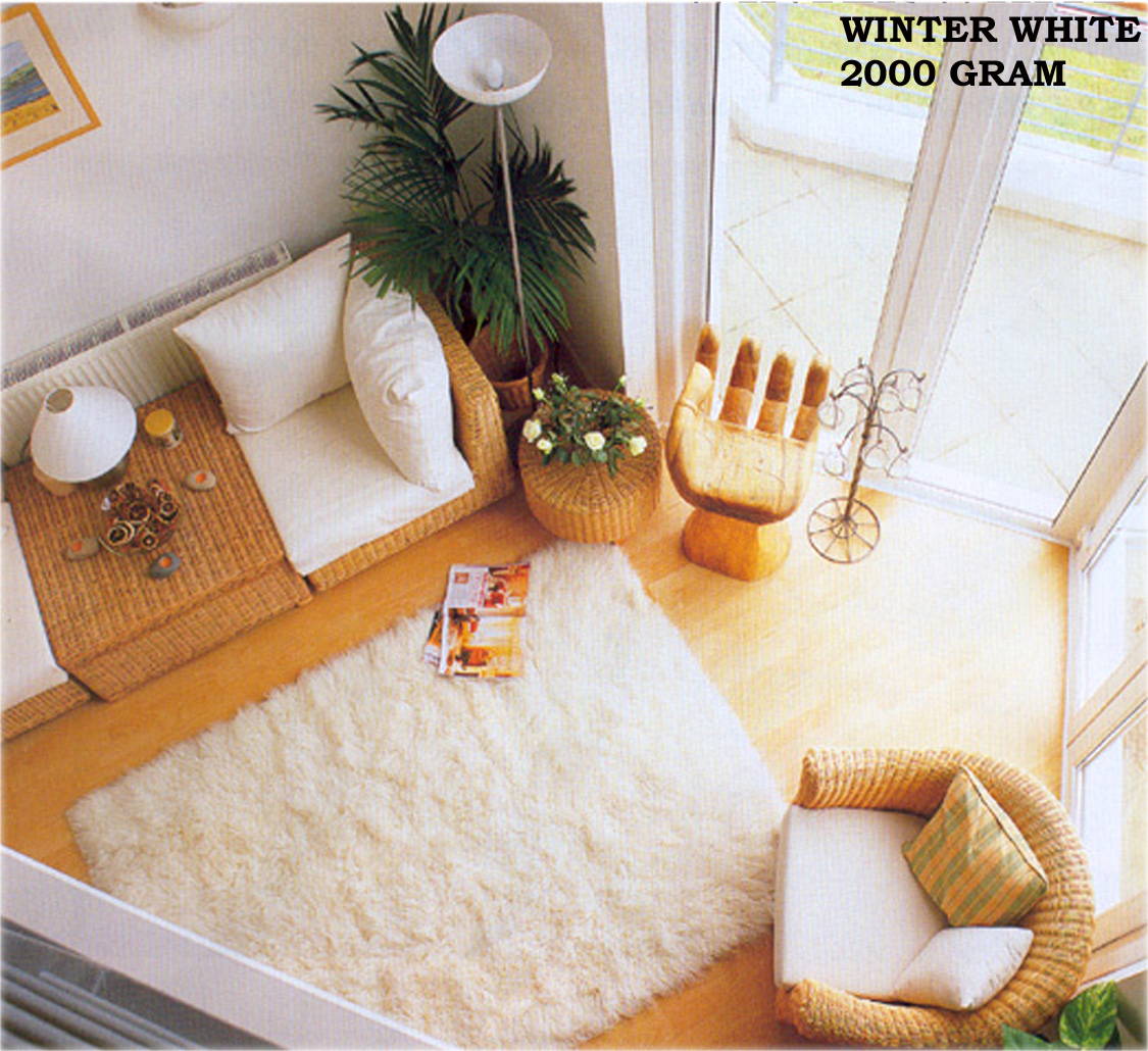 WINTER WHITE 2.5