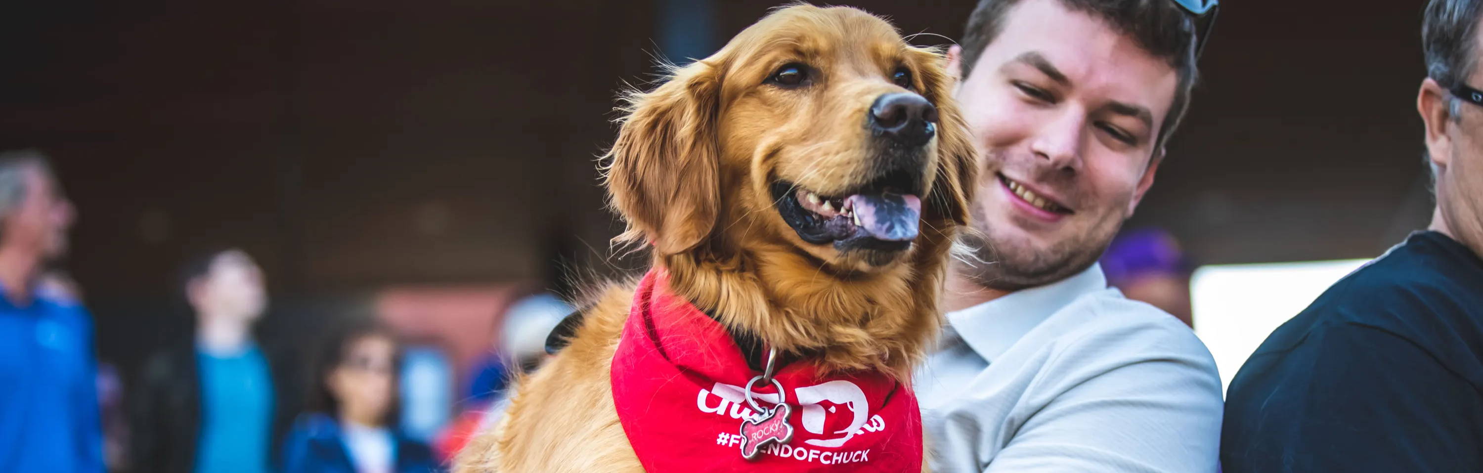 A golden retriever smiling with his red Chuck and Don's bandana around his neck, being held by his male white owner