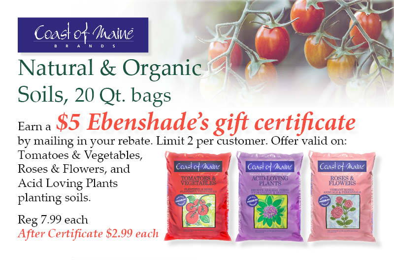 Coast of Maine Natural and Organic Soils, 20-quart bags -earn a $5.00 Esbenshade’s gift certificate by mailing in your rebate. Limit 2 per customer. Offer valid on: Tomatoes and Vegetables, Roses and Flowers, and Acid Loving Plants planting soils. | Regular price $7.99each. On Sale $2.99 each.
