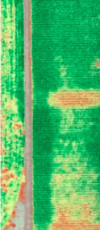 MicaSense Multispectral Sensor image
