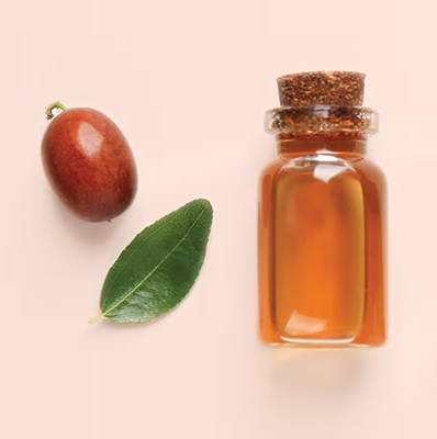 Bottles of oil surrounded by leaves and nuts on a pastel background.