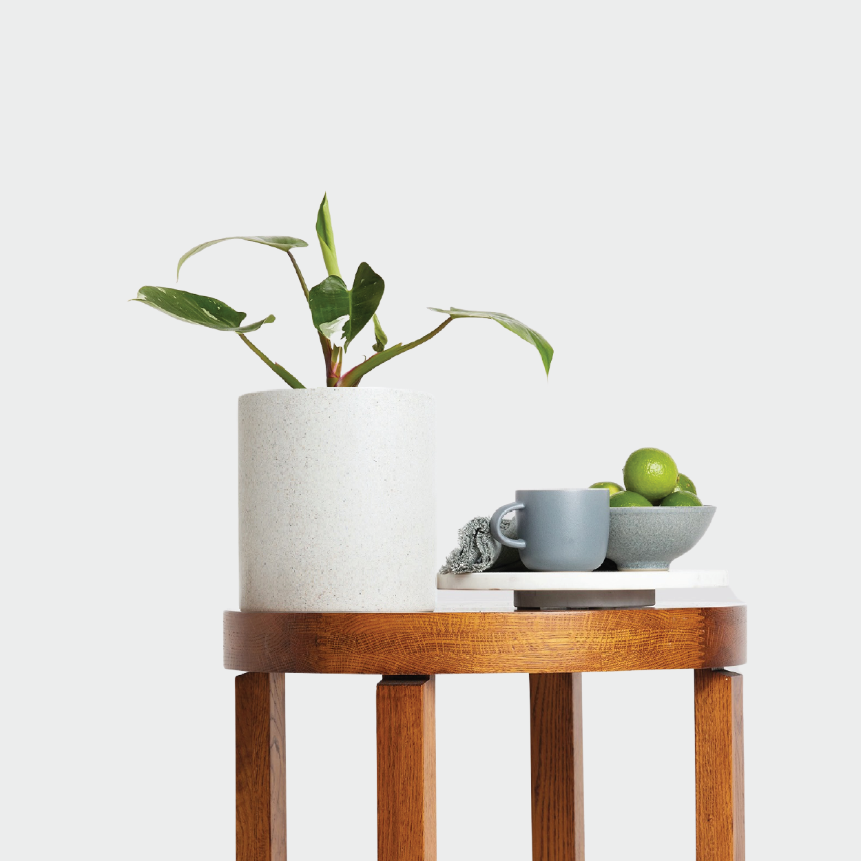 Philodendron White Princess in Jardin Terrazzo Pot White on table with accessories from The Good Plant Co