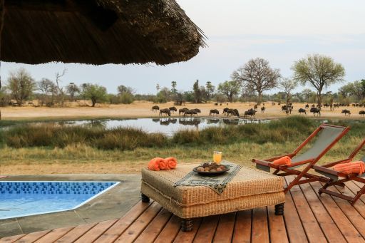 Imvelo Safari Lodges_Bomani_splash pool overlooking waterhole