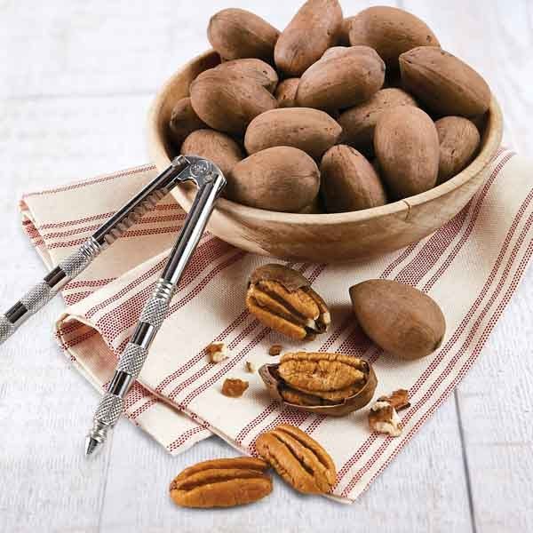 pecans and nut cracker