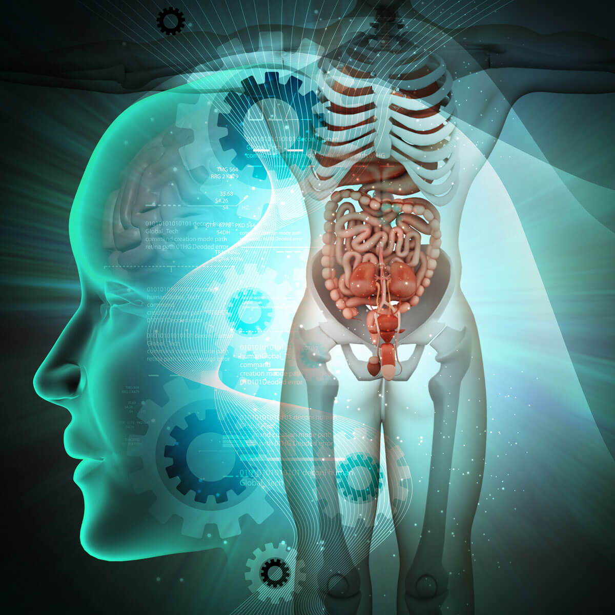 interconnected systems influencing metabolism