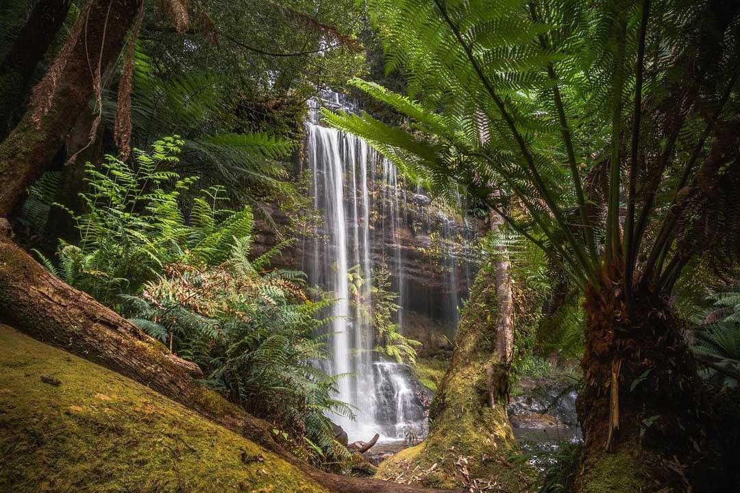 Best Mountain hikes in Tasmania and best waterfalls in Tasmania