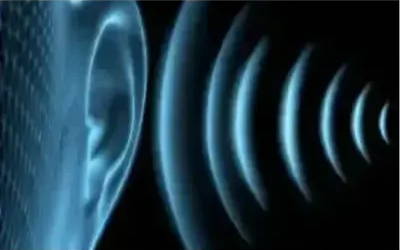 Low Vs High Frequency Sounds