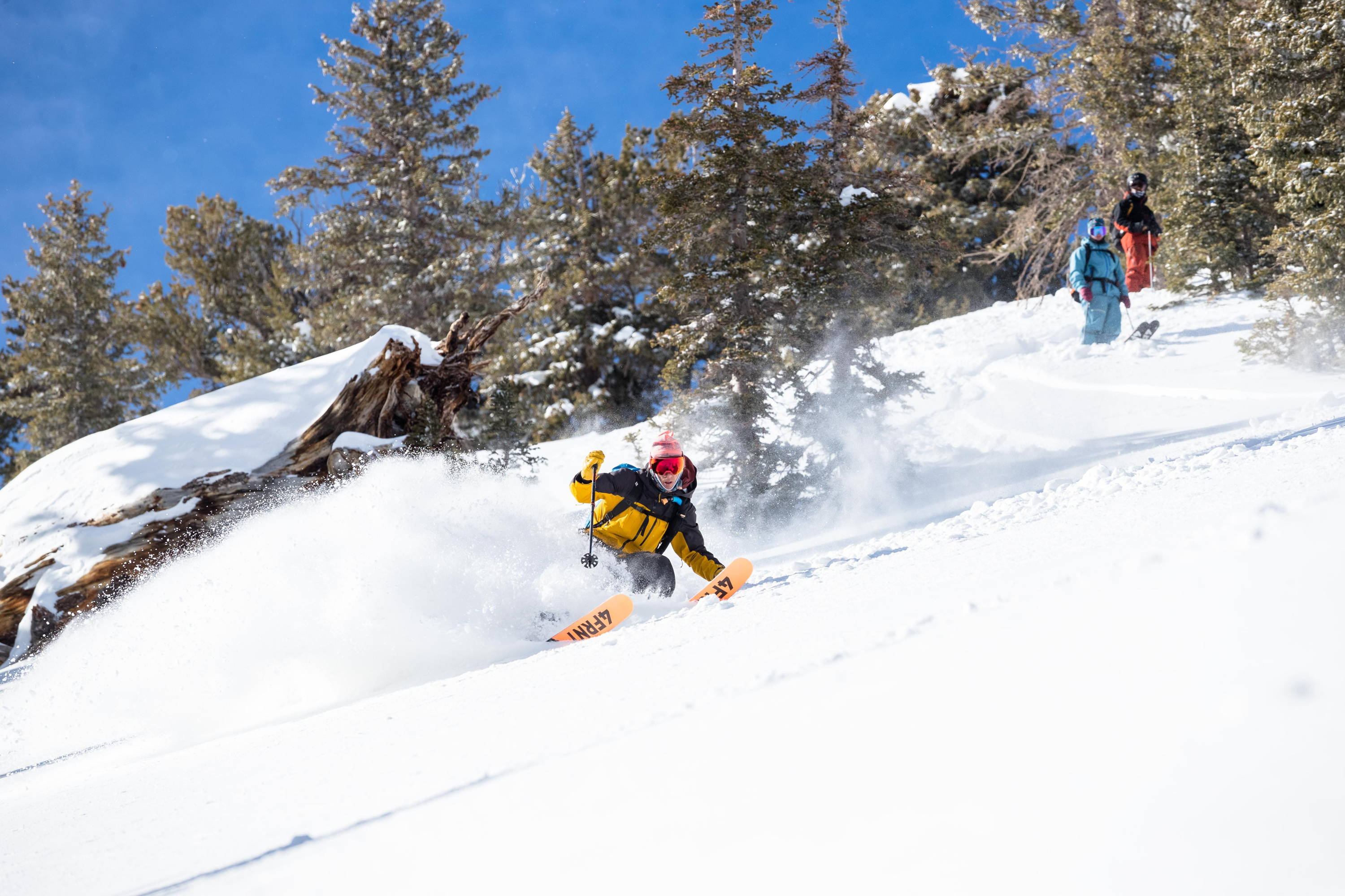 4Frnt Skier shredding powder