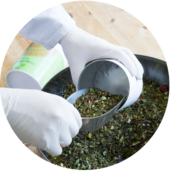 Bio Moringa Tee Mint Abfüllung