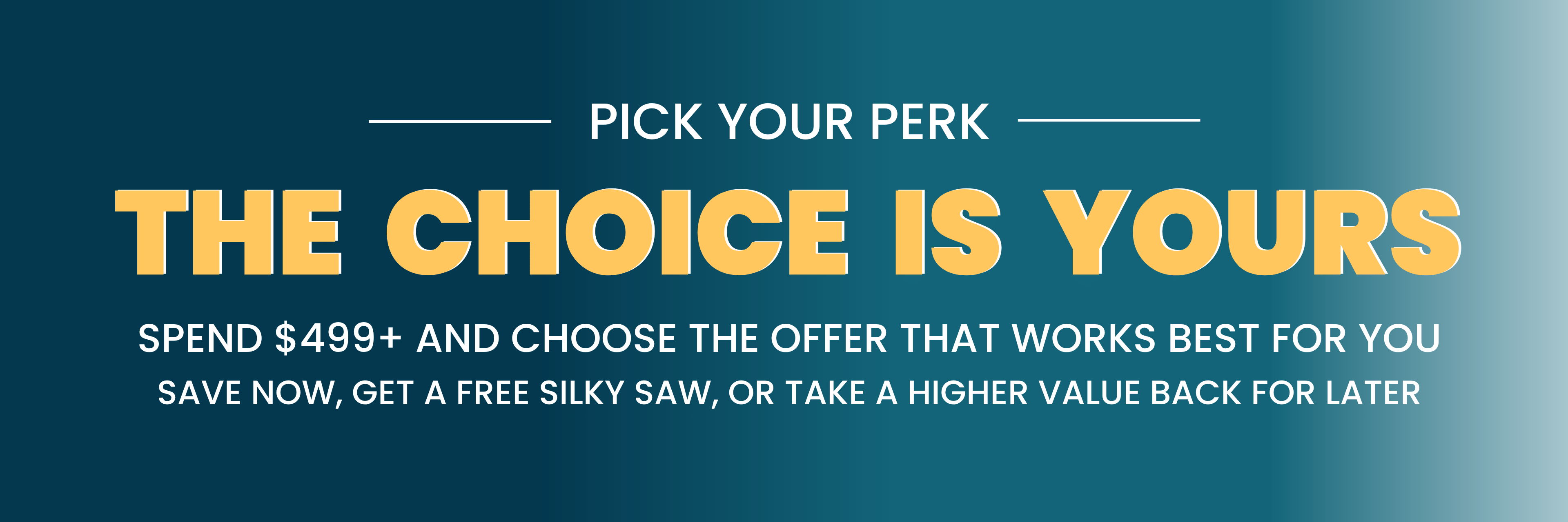 Pick your perk: The choice is yours for spending $299 or more.