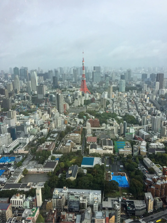 Mori Art Museum views