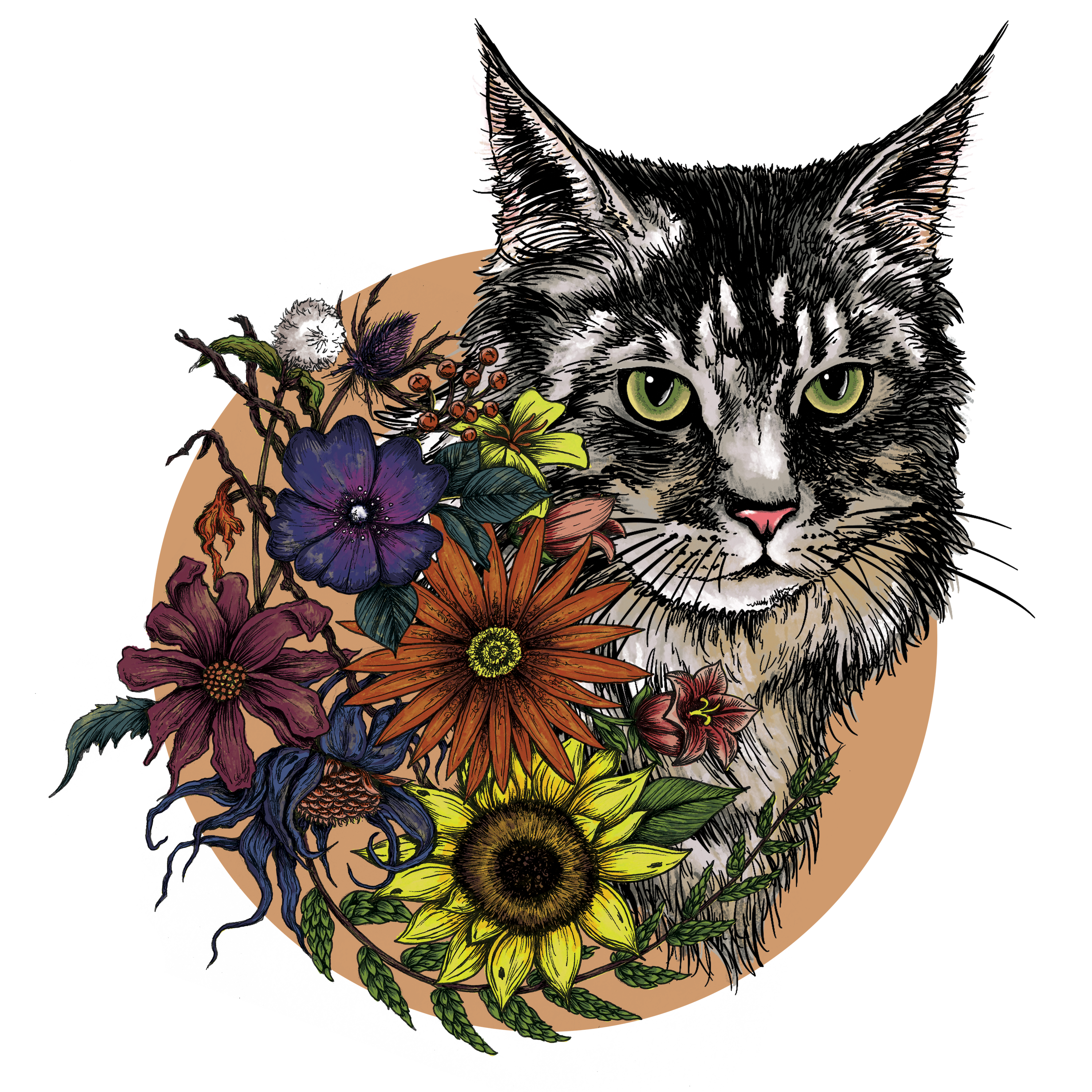 custom images of cats