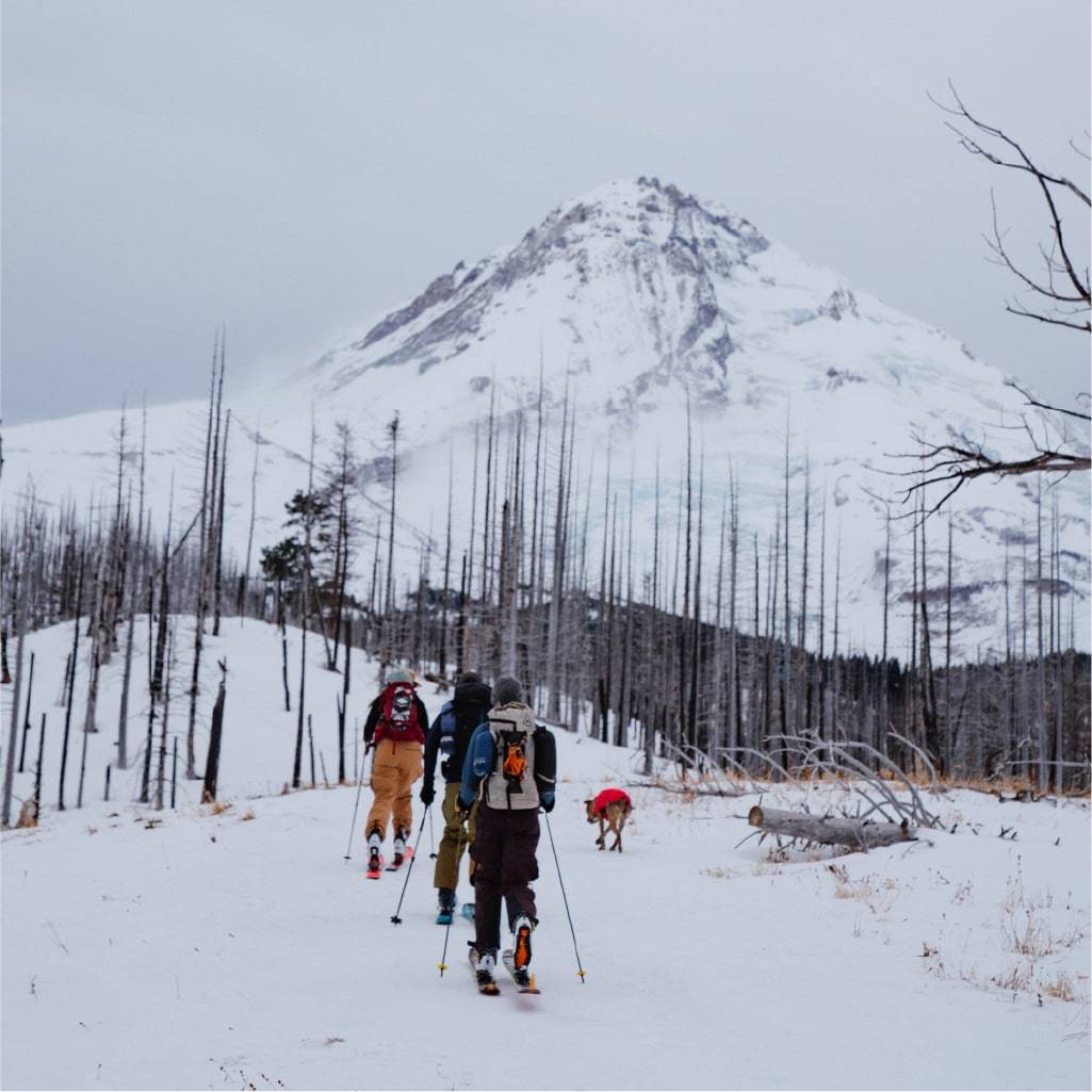 Three people cross country skiing in Mt. Hood