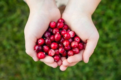 cranberry with d mannose might also be able to help prevent utis