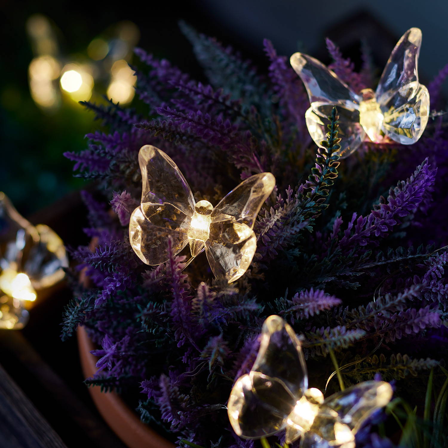 Butterfly micro lights illuminated within lavender plant