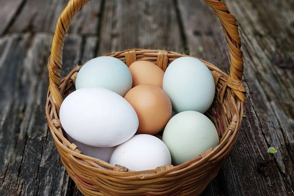 A wooden basket of multicolored eggs