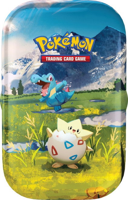 Your Complete Tour of the Pokmon Ascended Heroes Product Line  A Smart  Buyer's Guide - Magic Madhouse