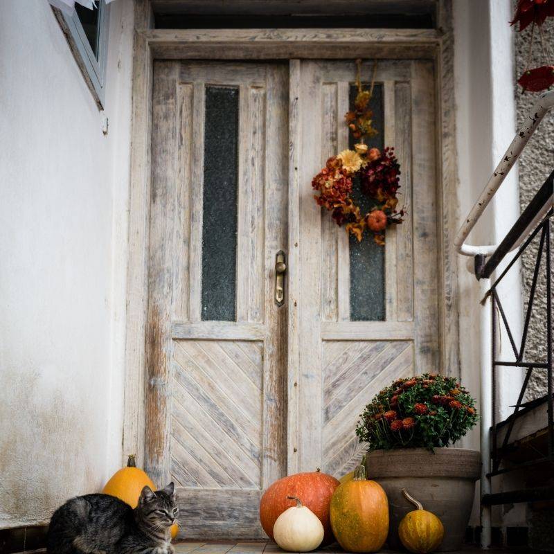 keep door closed during thanksgiving