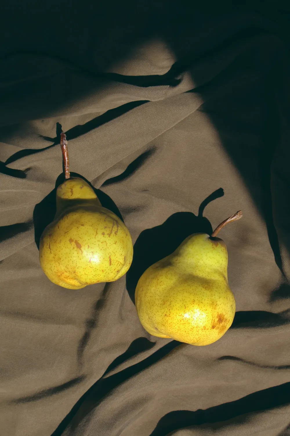 Two pears on a brown tablecloth