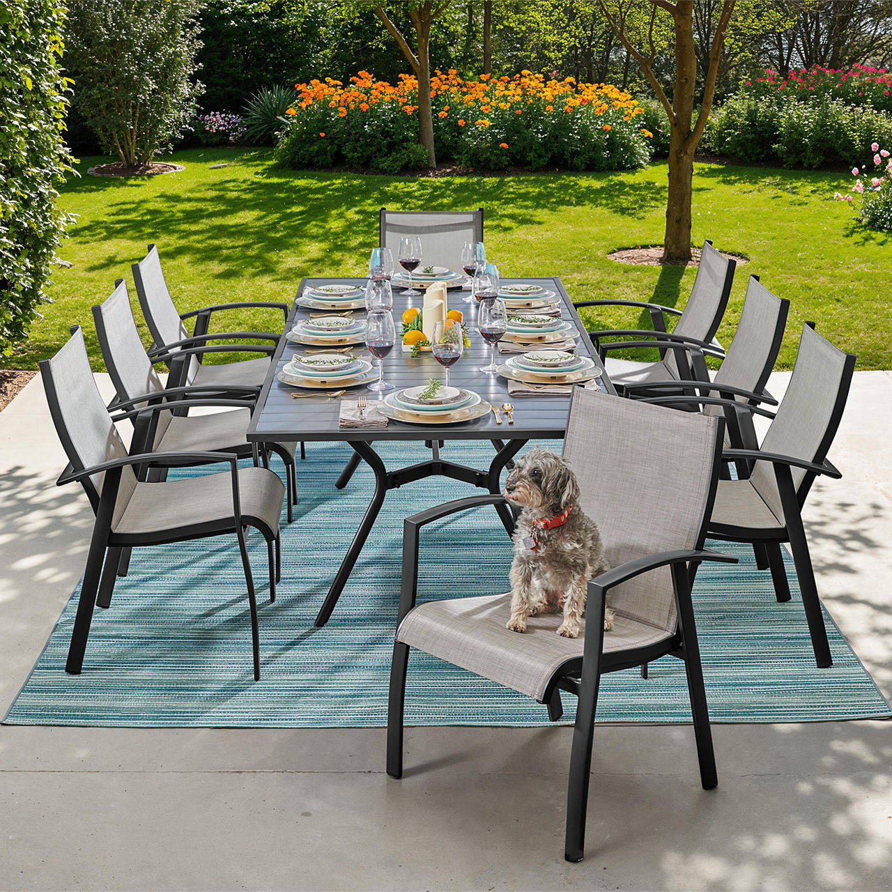 Outdoor dining setup with a table, chairs, and a small dog on a rug.