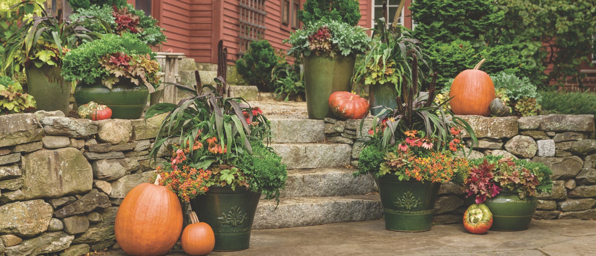 Scene of a fall outdoor patio with containers filled with Fun and Games® Hopscotch Foamy Bells and Creme Brulee Coral Bells next to pumpkins