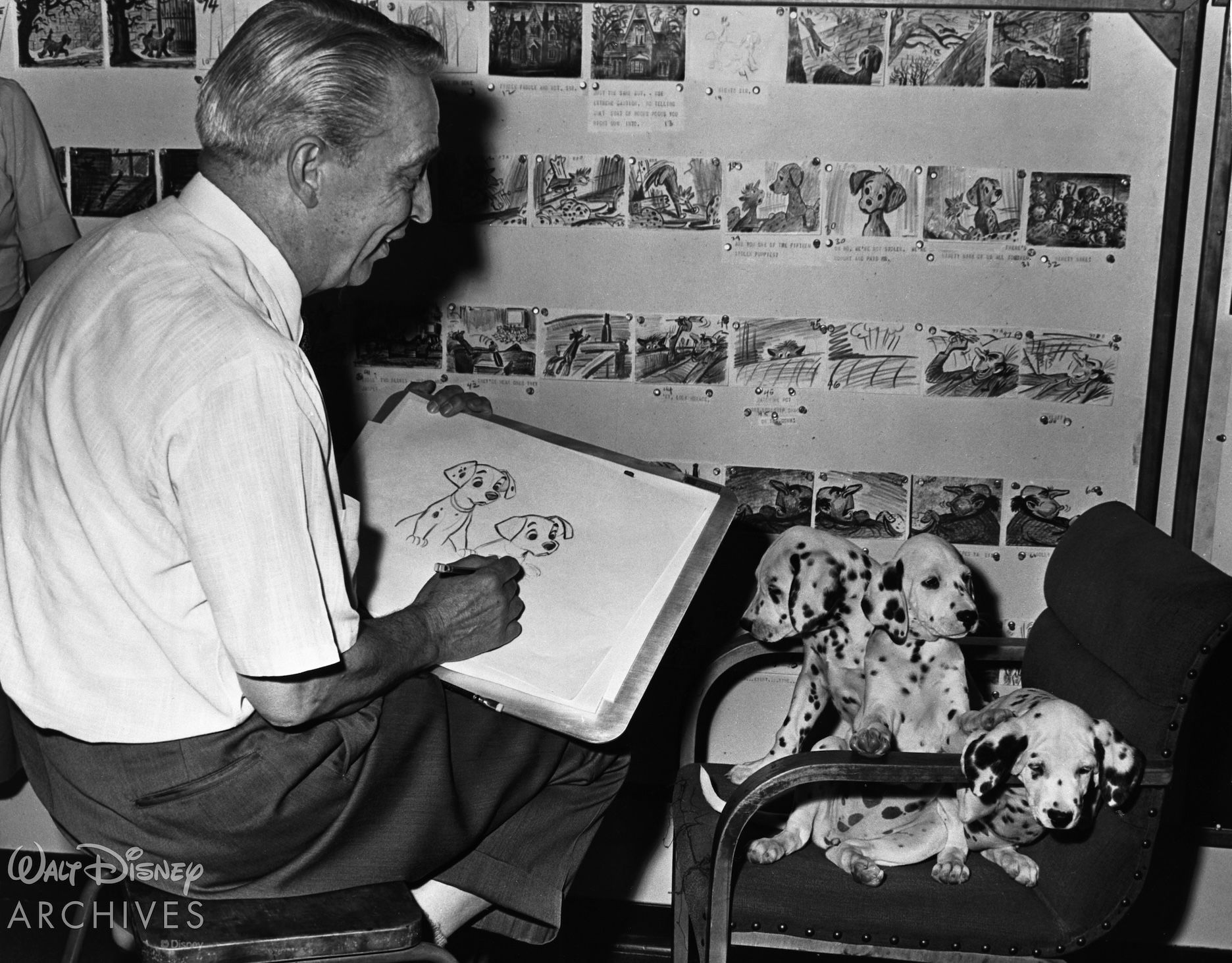 Animator sketching the 101 Dalmatians using a Blackwing pencil while Dalmatians sit on a chair. Courtesy of the Walt Disney Archives