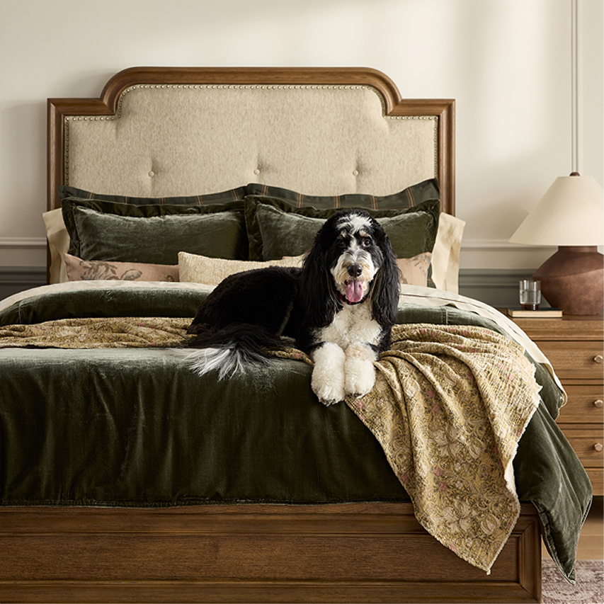 Bedroom featuring an upholstered bed with layered bedding and decorative styling.