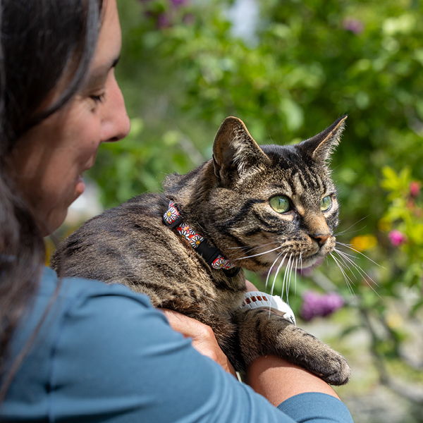 Person holding a tabby cat outdoors with greenery in the background.