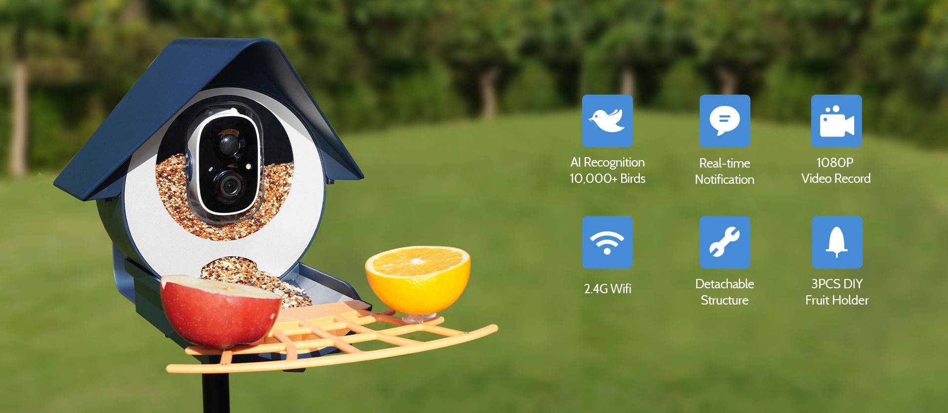 Birdkiss smart bird feeder with bird seed, apples and oranges and key features of this