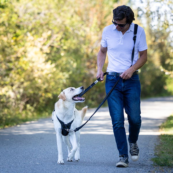 Person walking a dog on a path surrounded by greenery.