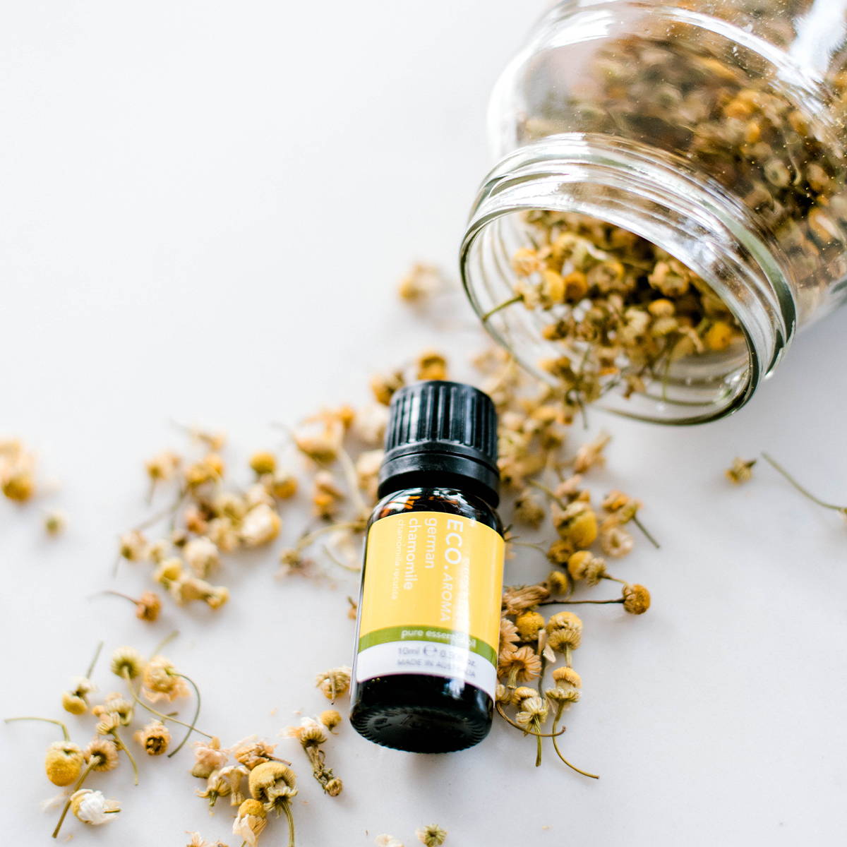 Chamomile essential oil bottle laying on a bed of chamomile flowers