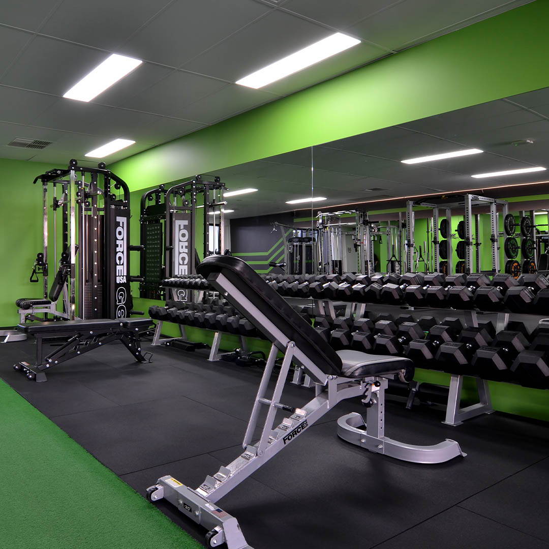 Commercial Gym Fit Out Bench and Dumbbells