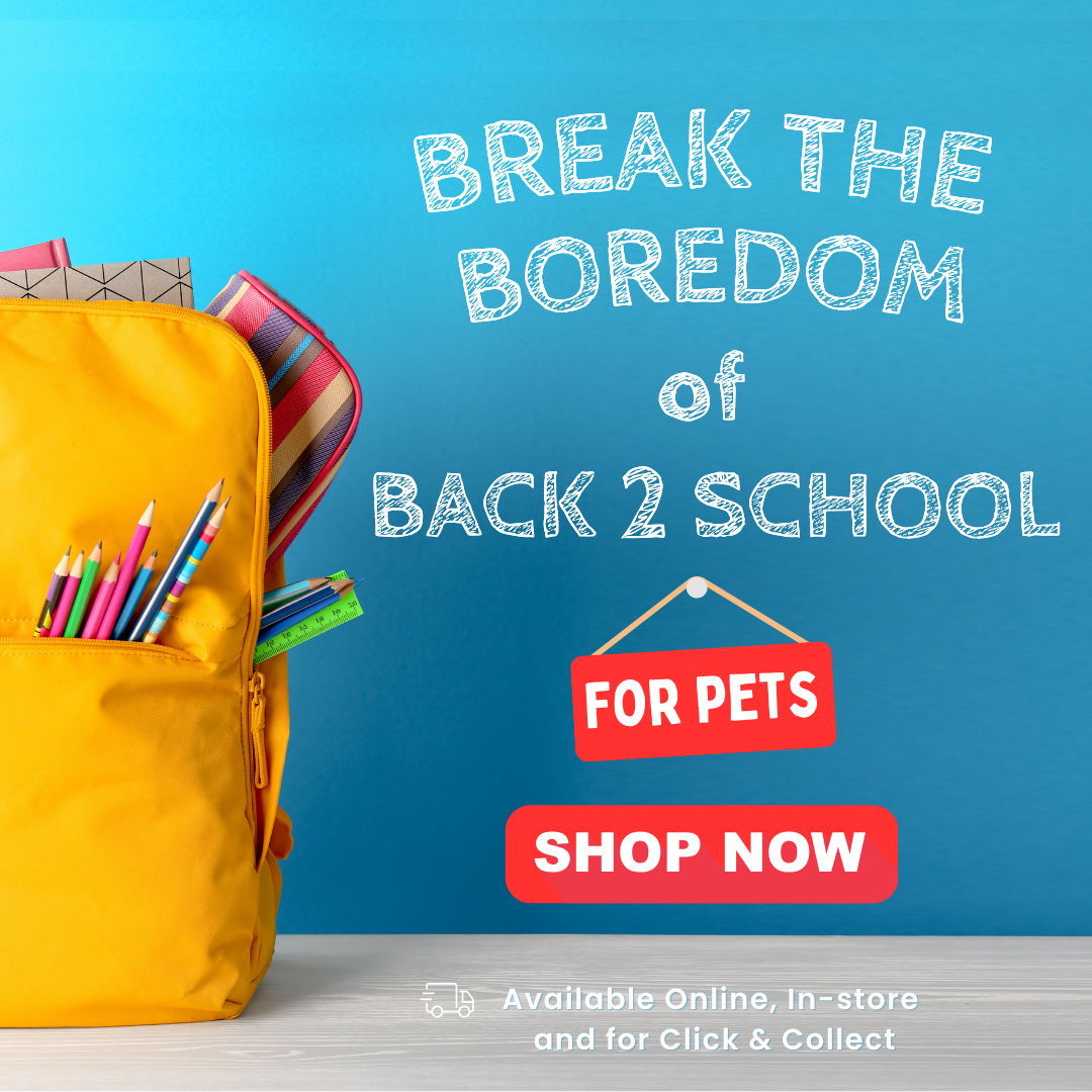 Boredom Breaker Sale