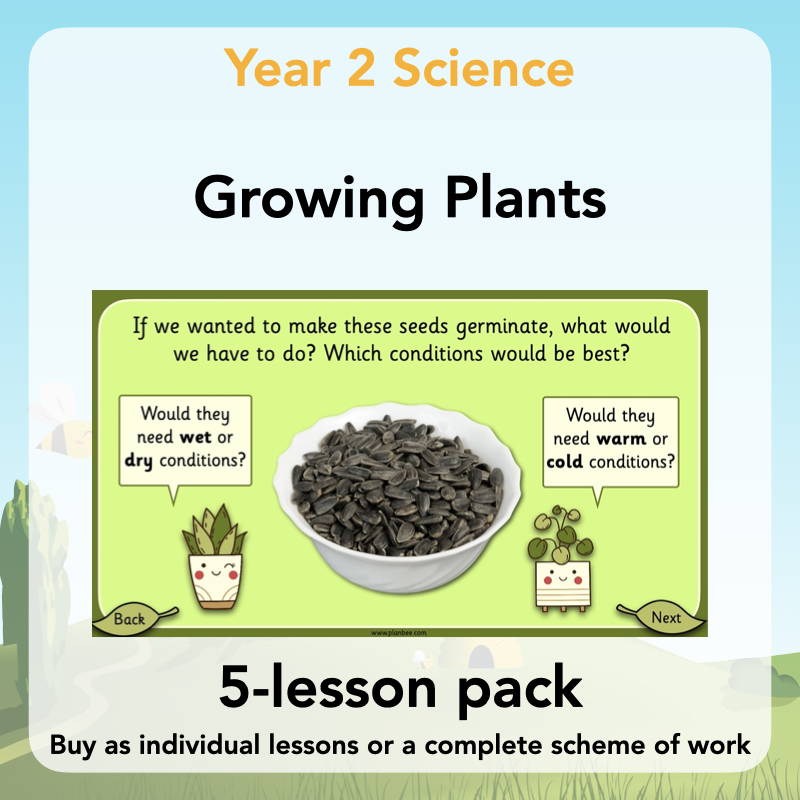Year 2 Curriculum - Growing Plants