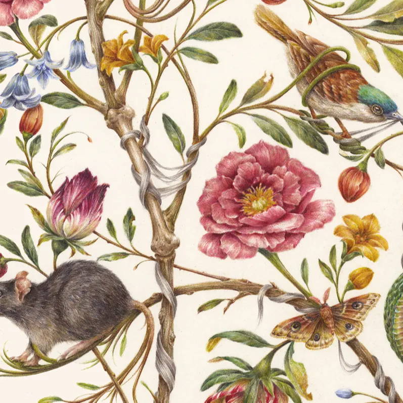 floral wallpapers