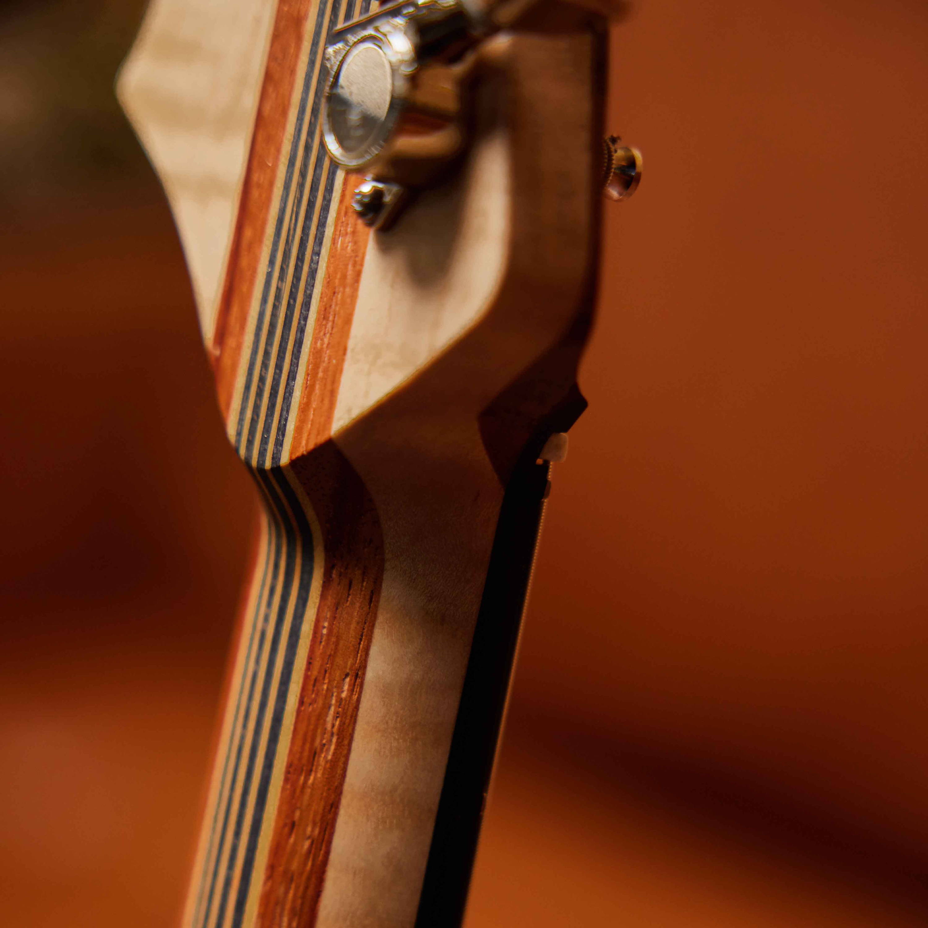 Headstock and neck details