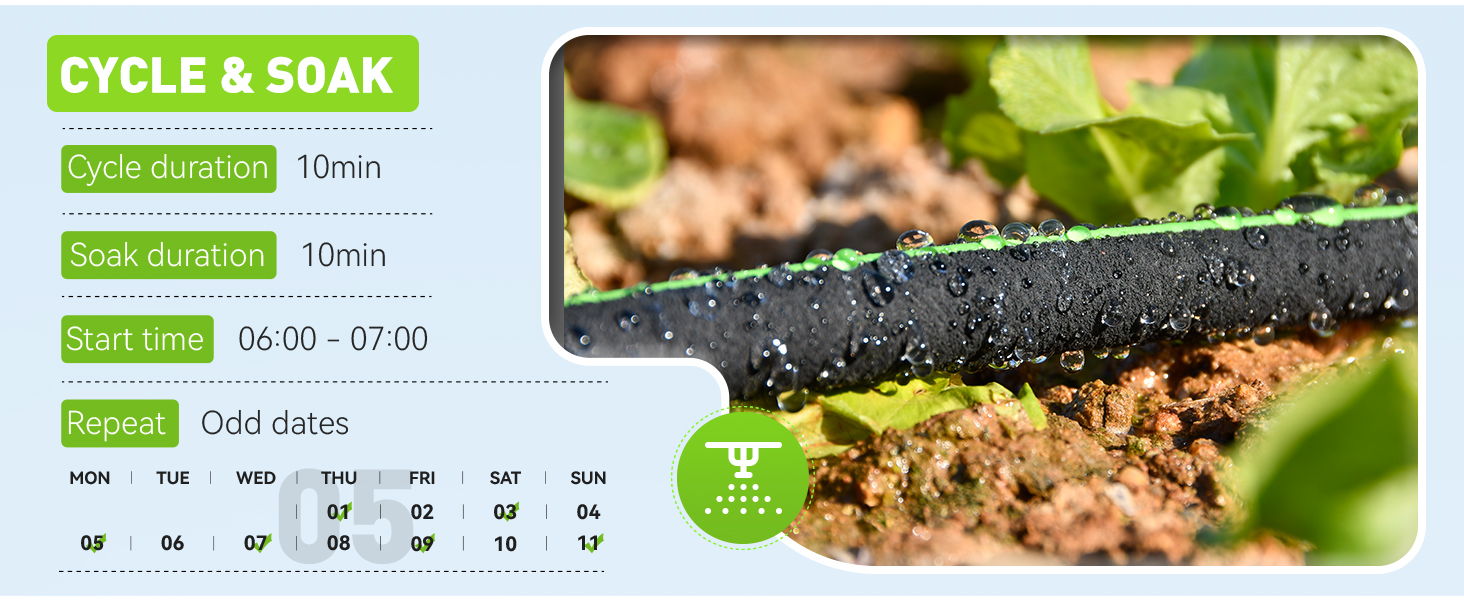 Drip irrigation system with soil and plant details.