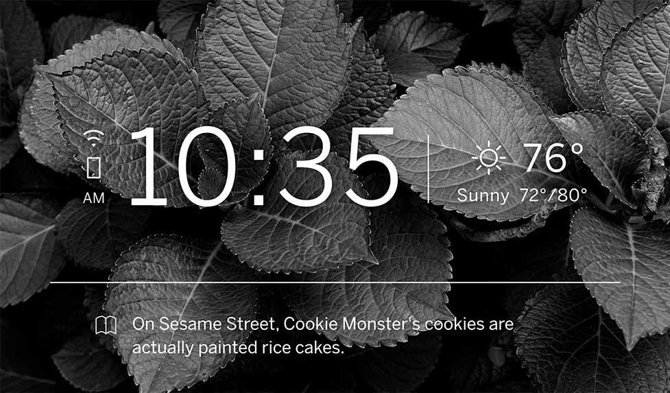 wall oven LCD display featuring fun food facts, the weather and a background image of foliage