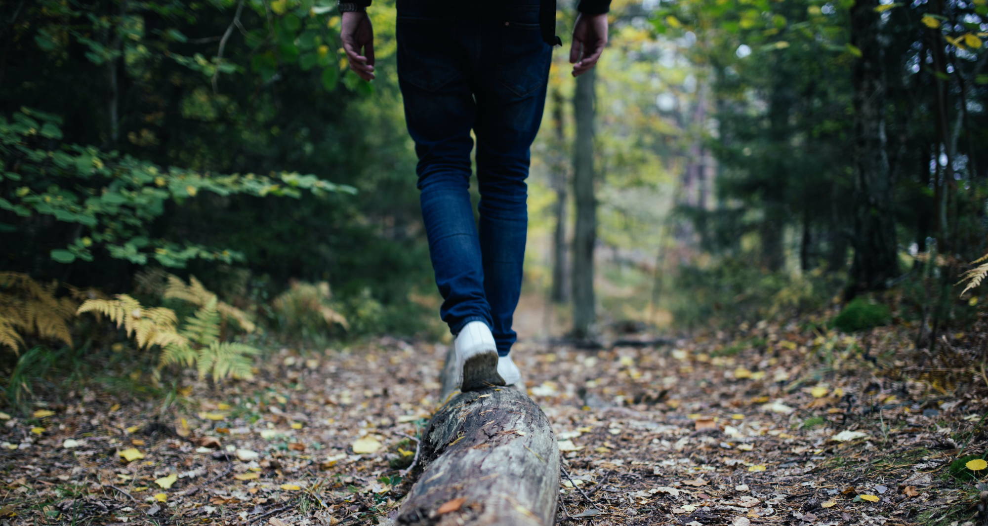  a person in blue jeans and white shoes walks on a log on a hiking trail with fallen leaves