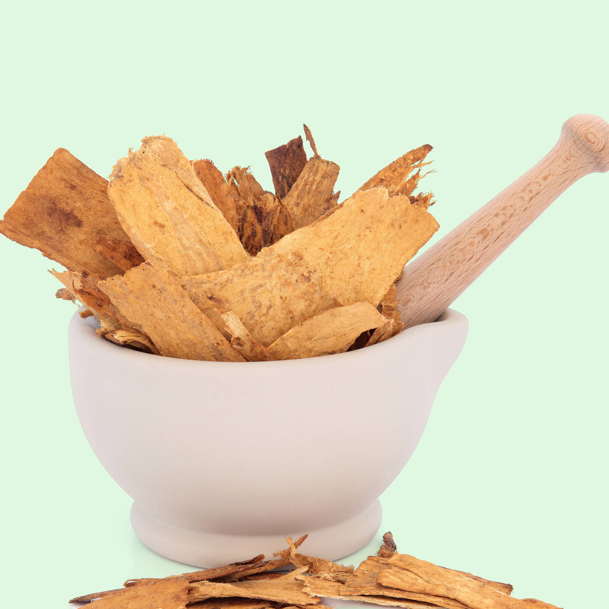 Astragalus