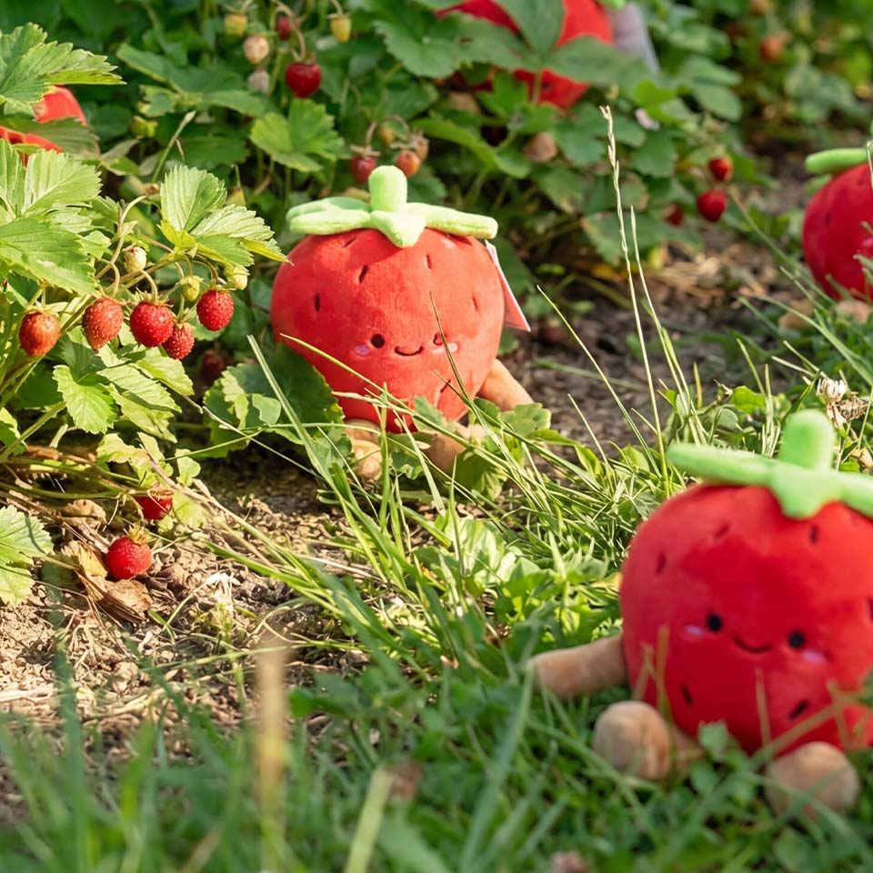 Plush strawberry toys among real strawberries in a garden setting.