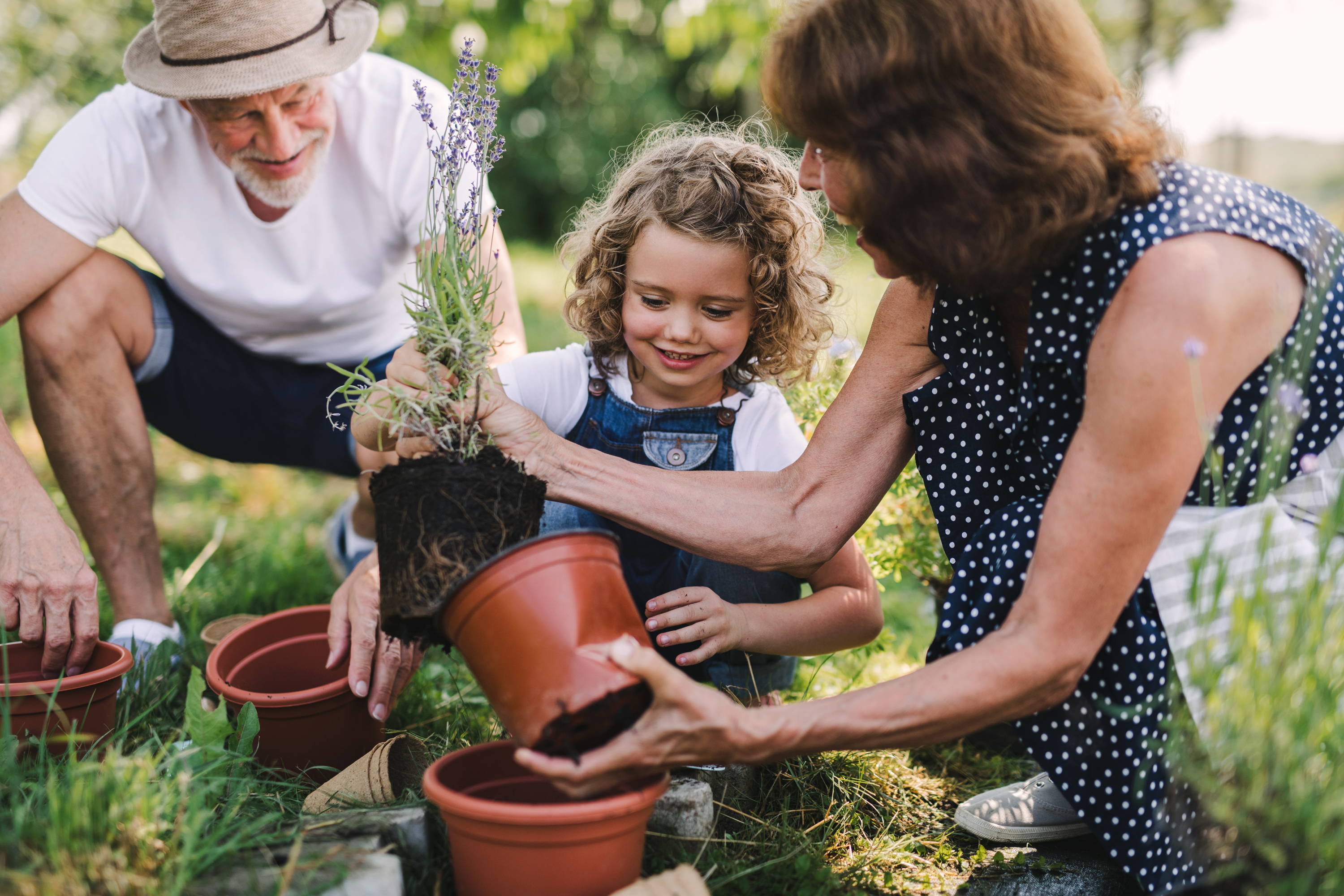 Elderly couple gardening with grand daughter