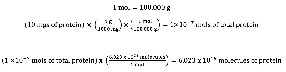 lysate calculation example