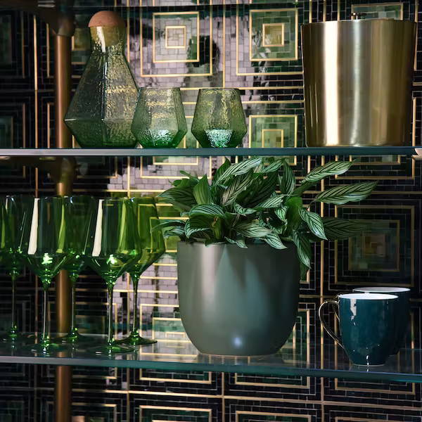 Café Bold Ambition Kitchen Shelves