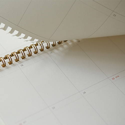 220gsm paper - 2020 D point A4 dated monthly desk planner scheduler