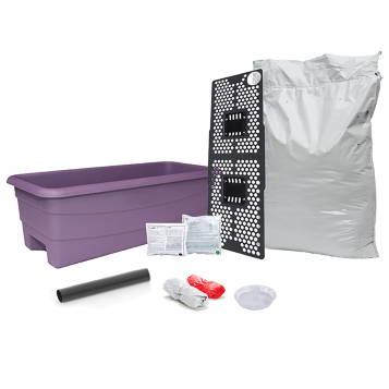 A purple EarthBox Junior container garden