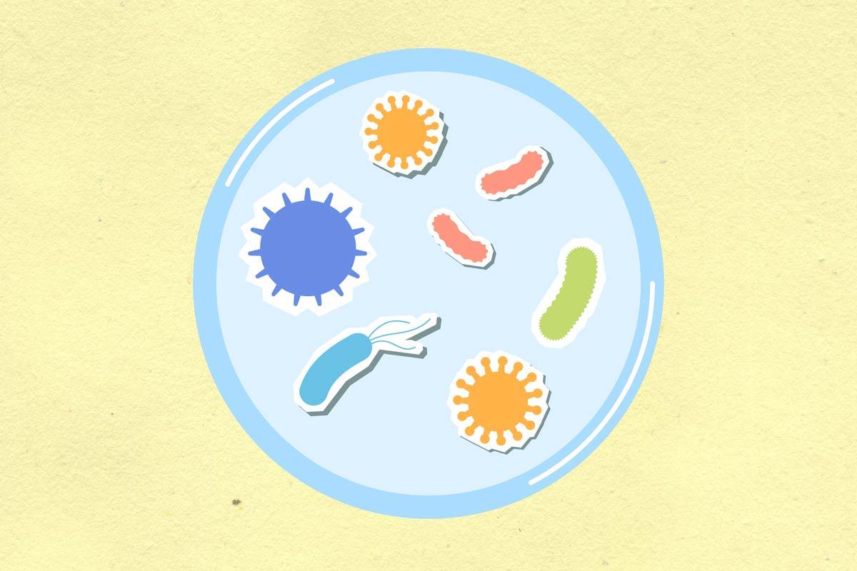 Illustration of microbes